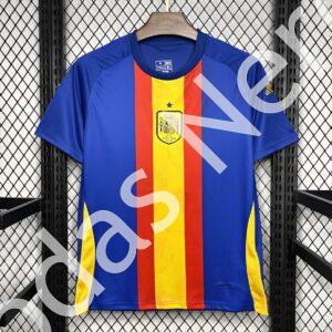 Camiseta de calentamiento España EURO 2024